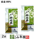 【掛川茶】掛川深蒸し茶100g×2袋セット 送料無料 深蒸し茶 煎茶 国産 茶葉 静岡茶 お茶 緑茶 ギフト お年賀 御年賀 プチギフト お茶 2020 内祝い プレゼント 還暦祝い 男性 女性 父 母 贈り物 香典返し お土産 おみやげ お祝い 誕生日 祖母 おじいちゃん 早割