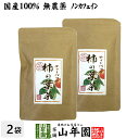 【国産 無農薬】柿の葉茶 鹿児島県産 30g(1.5g×20パック)×2袋セット ノンカフェイン 柿の葉 かきの葉茶 かきのは茶 柿のは茶 無添加 ビタミン ティーパック ティーバッグ 健康茶 妊婦 ギフト プレゼント 母の日 父の日 プチギフト お茶2024 内祝い お返し