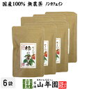 【国産 無農薬】柿の葉茶 鹿児島県産 30g(1.5g×20パック)×6袋セット ノンカフェイン 柿の葉 かきの葉茶 かきのは茶 柿のは茶 無添加 ビタミン テ...