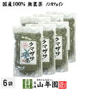 【国産 100%】熊笹茶 クマザサ茶 100g×6袋セット 無農薬 ノンカフェイン 送料無料 宮崎県産 鹿児島県産 クマ笹茶 くま笹茶 くまざさ茶 隈笹茶 健康茶 妊婦 ダイエット 贈り物 ギフト プレゼント 敬老の日 プチギフト お茶 2023 内祝い お返し