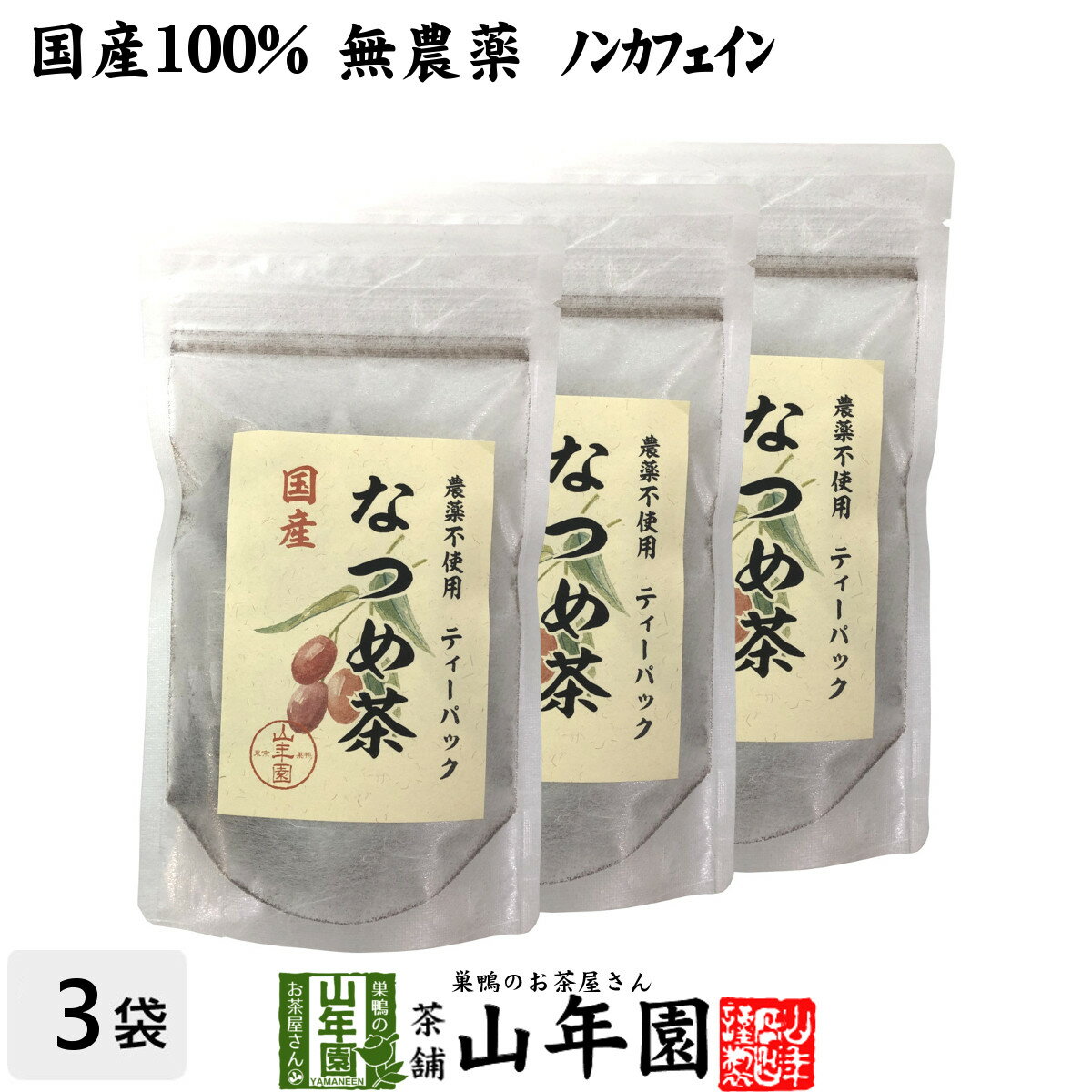 なつめ茶 ティーバッグ 24g（2g×12P）×3袋セット 送料無料 無農薬 ノンカフェイン 漢方 薬膳 果物 ギフト プレゼント 母の日 父の日 プチギフト お茶 内祝い 2024