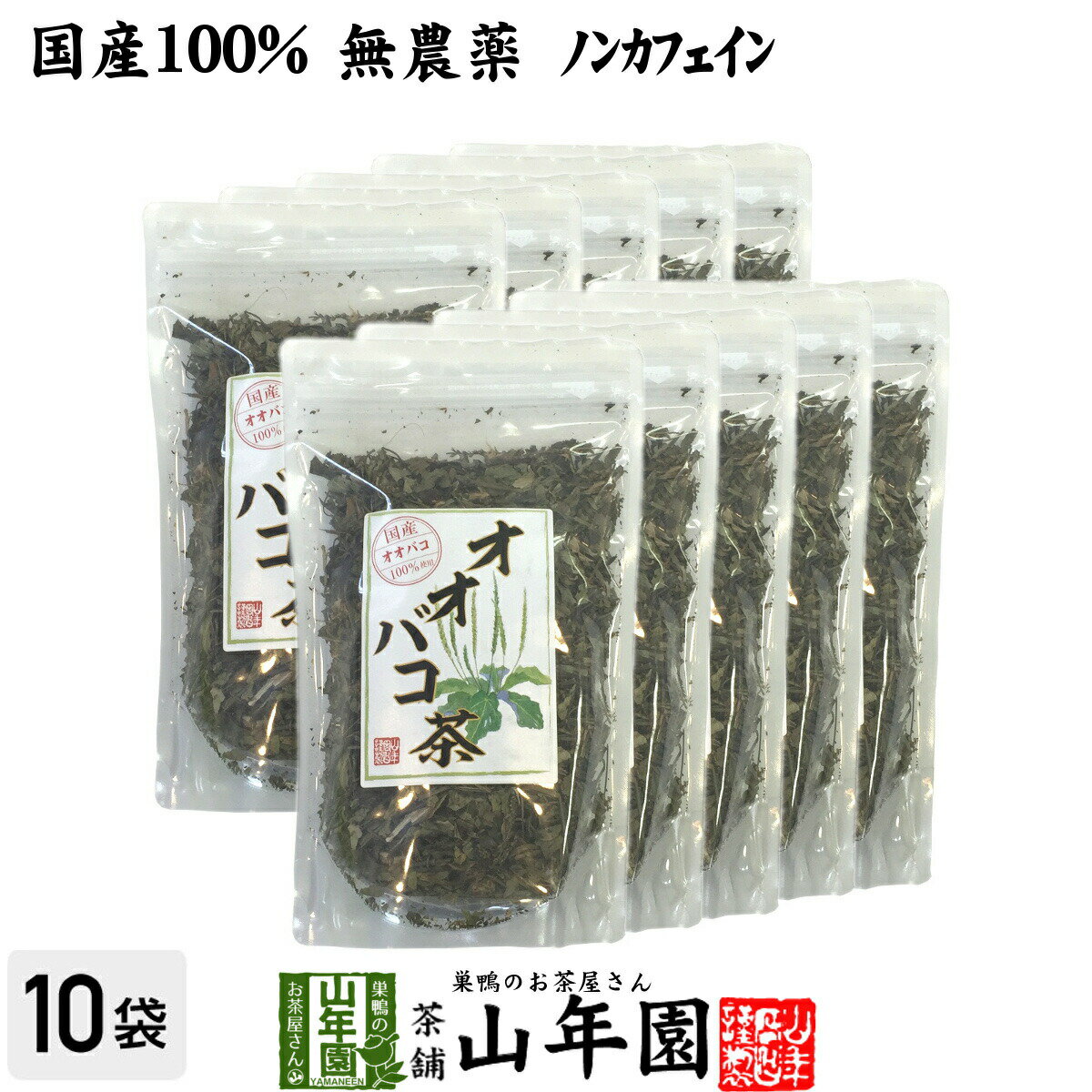 【国産 100%】オオバコ茶 100g×10袋セット 無農薬 ノンカフェイン 宮崎県産 送料無料 オオバコ オオバコダイエット 健康茶 妊婦 ダイエット 贈り物 ギフト プレゼント 母の日 父の日 プチギフト お茶 2024 内祝い お返し