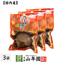 【国産原料使用】沢田の味 玉ねぎ たまり漬 1個×3袋セット送料無料 自然と健康の郷 群馬県吾妻郡産 健康 ダイエット ギフト プレゼント 母の日父の日 プチギ...