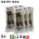 【国産原料使用】沢田の味 鉄砲漬 1本×6袋セット送料無料 自然と健康の郷 群馬県吾妻郡産 健康 ダイエット ギフト プレゼント 母の日父の日 プチギフト お茶...
