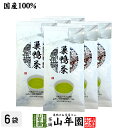 【高級日本茶】巣鴨のお茶屋さん山年園でしか買えない「巣鴨茶」 100g×6袋セット 茶葉 深蒸し茶 送料無料 お茶 緑茶 国産 掛川茶 茶葉 カテキン 贈り物 ...