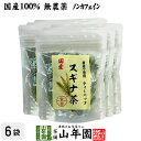 【国産 100%】スギナ茶 ティーパック 1.5g×20パック×6袋セット 無農薬 ノンカフェイン 宮崎県産 送料無料 ティーバッグ すぎな茶 健康茶 妊婦 ダ...