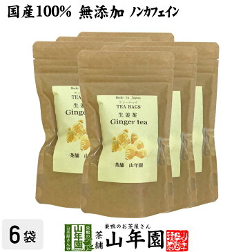 【国産100%】生姜茶 ジンジャーティー 2g×12パック×6袋セット 生姜100% 熊本県産 送料無料 無添加 ノンカフェイン ショウガ茶 しょうが茶 ギフト プレゼント 母の日 父の日 プチギフト お茶 2020 内祝い お返し 男性 女性 彼氏 彼女 父 母 夫婦 贈り物 お土産 通販