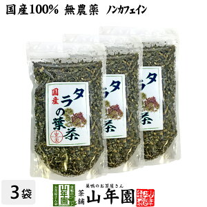 【国産100%】タラの葉茶 無農薬 100g×3袋セット 宮崎県産 送料無料 ノンカフェイン 茶葉 たらの葉茶 タラノメ タラの芽 タラノキ茶 ギフト プレゼント ホワイトデー プチギフト お茶 2023 内祝い お返し 男性 女性 彼氏 彼女 父 母 夫婦 贈り物 お土産 通販