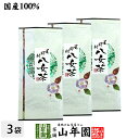 日本茶 お茶 煎茶 茶葉 八女茶 100g×3袋セット 送料無料 煎茶 緑茶 ギフト 敬老の日 プチギフト お茶 2023 内祝い プレゼント 還暦祝い 男性 女性 父 母 贈り物 香典返し お土産 おみやげ お祝い 誕生日 祖父 祖母 おじいちゃん おばあちゃん お礼