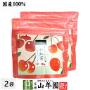 【国産紅茶】さくらんぼの和紅茶 2g×5パック×2袋セット 送料無料 静岡県産紅茶 さくらんぼティ 国産紅茶 日本茶 さくらんぼ ティーバッグ 紅茶 ティーパック ダイエット ギフト プレゼント 内祝い お返し お中元 御中元 プチギフト 2025 お茶 女性 父 お祝い