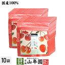 【国産紅茶】さくらんぼの和紅茶 2g×5パック×10袋セット 送料無料 静岡県産紅茶 さくらんぼティ 国産紅茶 日本茶 さくらんぼ ティーバッグ 紅茶 ティーパック ダイエット ギフト プレゼント 内祝い お返し お中元 御中元 プチギフト 2025 お茶 女性 父 お祝い