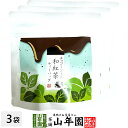 【国産紅茶】チョコミントの和紅茶 10g(2g×5パック)×3袋セット 送料無料 静岡県産紅茶 チョコミントティ 国産紅茶 日本茶 チョコミントティーバッグ 紅茶 ティーパック ダイエット ギフト プレゼント 内祝い お返し お歳暮 御歳暮 プチギフト 2025 お茶 お祝い
