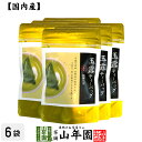 日本茶 お茶 茶葉 八女産 玉露 40g(5g×8包)×6袋セット福岡県八女 八女産高級茶 健康 送料無料 国産 緑茶 お中元 御中元 ギフト プレゼント プチ...