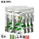 業務用 緑茶 煎茶 ティーバッグ 5g×100p×6袋セット 茶葉厳選 本格的 送料無料 ティーパック 冷水でもHOTでもおいしい 妊婦 ダイエット 食物繊維 ...