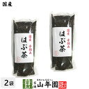 【国産100%】はぶ茶 200g×2袋セット 宮崎県または山口県産 送料無料 決明子茶 ハブ茶 お茶 健康茶 妊婦 ダイエット セット ギフト プレゼント 敬老の日 プチギフト 2023 内祝い お返し