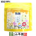 【国産紅茶】はちみつの和紅茶 2g×5パック 送料無料 静岡県産紅茶 はちみつティ 国産紅茶 日本茶 はちみつ ティーバッグ 紅茶 ティーパック ダイエット ギフト プレゼント 内祝い お返し お中元 御中元 プチギフト 2025 お茶 男性 女性 父 お祝い 誕生日