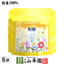 【国産紅茶】はちみつの和紅茶 2g×5パック×6袋セット 送料無料 静岡県産紅茶 はちみつティ 国産紅茶 日本茶 はちみつ ティーバッグ 紅茶 ティーパック ダイエット ギフト プレゼント 内祝い お返し お中元 御中元 プチギフト 2025 お茶 男性 女性 父 お祝い