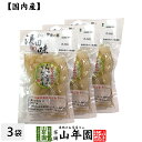 【国産原料使用】沢田の味 らっきょうりんご 甘酢漬 100g×3袋セット送料無料 自然と健康の郷 群馬県吾妻郡産 健康 ダイエット ギフト プレゼント 母の日 父の日 プチギフト お茶 内祝い 2024