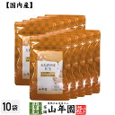 玉ねぎの皮EX(サプリメント・錠剤)27.9g(300mg×93粒)×10袋セット栄養補助食品 ケルセチン たまねぎ 玉葱 送料無料 国産 緑茶 ダイエット ギ...