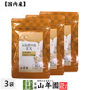 玉ねぎの皮EX(サプリメント・錠剤)27.9g(300mg×93粒)×3袋セット栄養補助食品 ケルセチン たまねぎ 玉葱 送料無料 国産 緑茶 ダイエット ギフ...