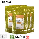 菊芋EX(サプリメント・錠剤)62g(200mg×310粒)×6袋セット栄養補助食品 イヌリン きくいも きく芋 送料無料 国産 緑茶 ダイエット ギフト プレ...