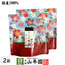 さくら緑茶 2.5g×5パック×2袋セット 送料無料 静岡県掛川産緑茶 静岡県産桜葉 ティーバッグ ティーパック ダイエット ギフト プレゼント 内祝い お返し 父の日 お中元 プチギフト 2025 お茶 男性 女性 父 お祝い 誕生日