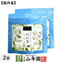 【国産紅茶】ジャスミンと和紅茶 2g×5パック×2袋セット 送料無料 静岡県産紅茶 ジャスミン 国産紅茶 日本茶 毬花茶 ティーバッグ 紅茶 ティーパック ダイエット ギフト プレゼント 内祝い お返し 母の日 父の日 プチギフト 2024 お茶 男性 女性 父 お祝い 誕生日