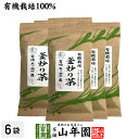 日本茶 お茶 茶葉 釜炒り茶 100g×6袋セット 健康 送料無料 国産 緑茶 ダイエット ギフト プレゼント お中元 御中元 プチギフト お茶 内祝い 202...