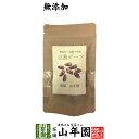 【無添加100%】クナイジ種 完熟デーツ 100g 添加物不使用デーツ 黒糖のような甘味 ドライなつめやし UAE産 送料無料 健康食品 妊婦 ダイエット セッ...