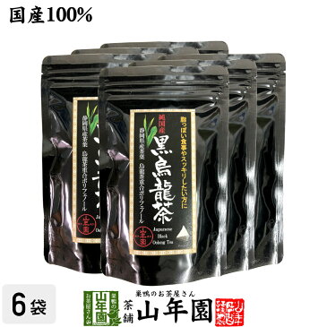【国産】黒烏龍茶 48g(4g×12)×6袋純国産 静岡県産茶葉を使用 烏龍茶重合ポリフェノール 健康 送料無料 国産 緑茶 バレンタイン ギフト プレゼント プチギフト お茶 内祝い 2021 早割 還暦祝い 父 母 贈り物 香典返し 挨拶 お土産 おみやげ お祝い 誕生日