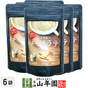 チャイラテ 100g×6袋セット 送料無料 高級 チャイカプチーノ チャイラテスムージー チャイオーレ チャイオレ チャイケーキ チャイ 粉末 美味しい お菓子...