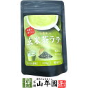 玄米茶ラテ 100g 送料無料 高級 玄米茶カプチーノ 玄米茶ラテスムージー 玄米茶オーレ 玄米茶オレ 玄米茶ケーキ 玄米茶 粉末 美味しい お菓子 玄米茶スイ...