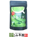抹茶ラテ 100g 送料無料 高級 抹茶カプチーノ 抹茶ラテスムージー 抹茶オーレ 抹茶オレ 抹茶ケーキ お抹茶 粉末 美味しい お菓子 抹茶スイーツ セット 甘い お茶 お歳暮 御歳暮 2025 ギフト プレゼント プチギフト 内祝い お返し お祝い matcha 早割