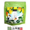 【国産紅茶】マンゴーの和紅茶 10g(2g×5パック) 送料無料 静岡県産紅茶 マンゴーティ 国産紅茶 日本茶 マンゴーティーバッグ 紅茶 ティーパック ダイエ...