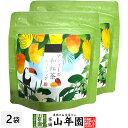 【国産紅茶】マンゴーの和紅茶 10g(2g×5パック)×2袋セット 送料無料 静岡県産紅茶 マンゴーティ 国産紅茶 日本茶 マンゴーティーバッグ 紅茶 ティーパ...