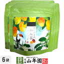 【国産紅茶】マンゴーの和紅茶 10g(2g×5パック)×6袋セット 送料無料 静岡県産紅茶 マンゴーティ 国産紅茶 日本茶 マンゴーティーバッグ 紅茶 ティーパ...