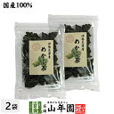 【国産100%】伊勢志摩産 めかぶ茶 32g×2袋セット三重県産めかぶ100% 健康 送料無料 ダイエット ギフト プレゼント 母の日 父の日 プチ..