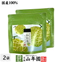 【国産紅茶】マスクメロンの和紅茶 2g×5パック×2袋セット 送料無料 静岡県産紅茶 ティーバッグ ティーパック ダイエット ギフト プレゼント 内祝い お返し お中元 御中元 プチギフト 2025 お茶 男性 女性 父 お祝い 誕生日