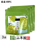 【国産紅茶】マスクメロンの和紅茶 2g×5パック×3袋セット 送料無料 静岡県産紅茶 ティーバッグ ティーパック ダイエット ギフト プレゼント 内祝い お返し お中元 御中元 プチギフト 2025 お茶 男性 女性 父 お祝い 誕生日