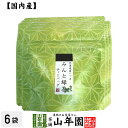 【国産100%】みんと緑茶 ティーパック 3g×5包×6袋セット送料無料 ティーバッグ 健康 ダイエット ギフト プレゼント お中元 御中元 プチギフト お茶 ...