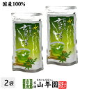 水出し 抹茶入 玄米茶 5g×15パック×2袋セット 送料無料 抹茶仕立ての緑茶 日本茶 玄米 ティーバッグ ティーパック ダイエット ギフト プレゼント 内祝...