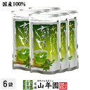 水出し 抹茶入 玄米茶 5g×15パック×6袋セット 送料無料 抹茶仕立ての緑茶 日本茶 玄米 ティーバッグ ティーパック ダイエット ギフト プレゼント 内祝...