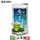 水出し 煎茶 5g×15パック 送料無料 すっきりと美しいみどりの清涼感 心も潤うおいしい冷たい緑茶 日本茶 玄米 ティーバッグ ティーパック ダイエット ギフ...