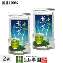 水出し 煎茶 5g×15パック×2袋セット 送料無料 すっきりと美しいみどりの清涼感 心も潤うおいしい冷たい緑茶 日本茶 玄米 ティーバッグ ティーパック ダイエット ギフト プレゼント 内祝い お返し 母の日父の日 プチギフト 2025 お茶 男性 女性 父 お祝い 誕生日(4)