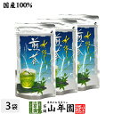 水出し 煎茶 5g×15パック×3袋セット 送料無料 すっきりと美しいみどりの清涼感 心も潤うおいしい冷たい緑茶 日本茶 玄米 ティーバッグ ティーパック ダイ...