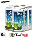 水出し 煎茶 5g×15パック×6袋セット 送料無料 すっきりと美しいみどりの清涼感 心も潤うおいしい冷たい緑茶 日本茶 玄米 ティーバッグ ティーパック ダイ...