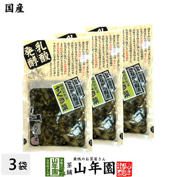 【岡山県野菜】すぐき菜 塩漬 120g×3袋旨みが生きる昔ながら製法 岡山県美作 武蔵の里 乳酸発酵 健康 送料無料 ダイエット ギフト プレゼント お歳暮 御歳暮 プチギフト お茶 内祝い 2020 早割