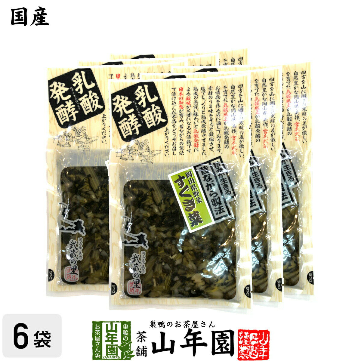 【岡山県野菜】すぐき菜 塩漬 120g×6袋旨みが生きる昔ながら製法 岡山県美作 武蔵の里 乳酸発酵 健康 送料無料 ダイエット ギフト プレゼント お歳暮 御歳暮 プチギフト お茶 内祝い 2020 早割