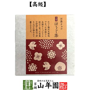 お茶チョコ 天領 ほうじ茶 2枚入りチョコレート お菓子 緑茶 焙じ茶 健康 送料無料 ダイエット ギフト プレゼント 敬老の日 プチギフト お茶 内祝い 2023