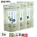 【国産100%】パパイヤ葉茶 ティーバッグ 宮崎県産 ノンカフェイン 18g(1.5g×12p)×3袋セット送料無料 papaya tea 国産 パパイア ポリフェノール 食物繊維 ダイエット 妊婦 高級 ギフト プレゼント 母の日父の日 2025 プチギフト お茶 内祝い お返し(4)